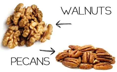 are pecan nuts similar to walnuts